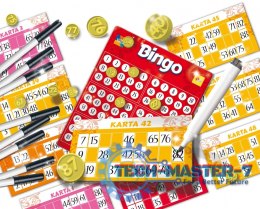 Gra Ludoteca Bingo