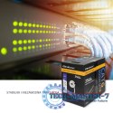 Kabel sieciowy/skrętka UTP | CAT6 | 305m