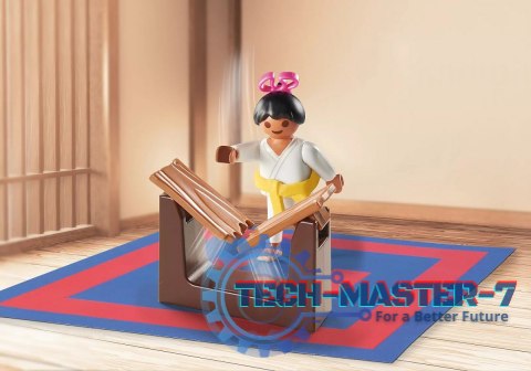 Zestaw Sports & Action 71186 Trening karate Zestaw Sports & Action 71186 Trening karate