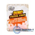 Skamieniałe jajo Dinozaura