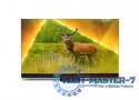 Telewizor 55 cali MINI LED 55PML9308/12