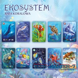 Gra Eko system 2 Rafa koralowa