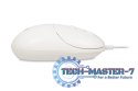 Mysz i011 Seagull