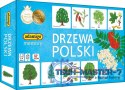 Gra Memory - Drzewa Polski