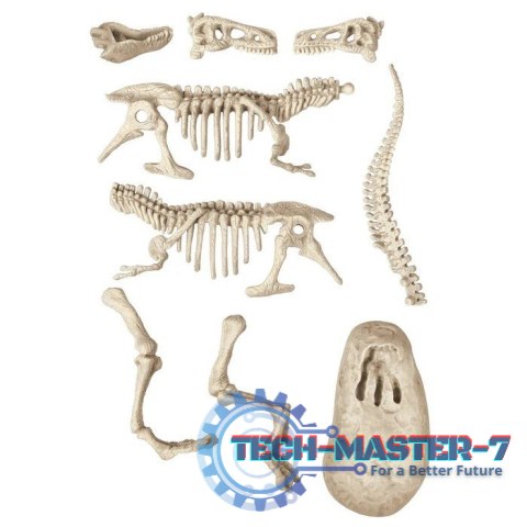 Zestaw Skamieniałości - T-Rex Zestaw Skamieniałości - T-Rex